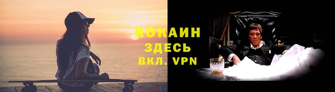 гашик Армянск