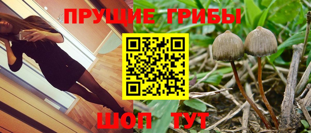 Галлюциногенные грибы MAGIC MUSHROOMS  Галлюциногенные грибы Psilocybe  Шадринск  Вход с VPN 
